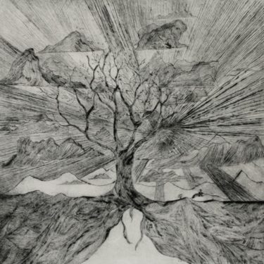 ベルギー出身のフラメンコ・ギタリスト、圧倒的なテクニックで聴かせるソロギター作品集