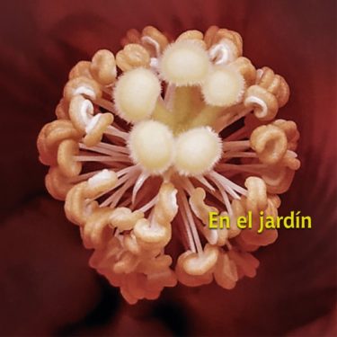 カルロス・アギーレ＆ヨタム・シルバースタイン、待望のデュオ・アルバム！