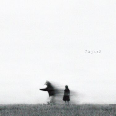 水面にゆらめく光のような清らかな音楽。クララ・プレスタ待望の2nd『Pájara』