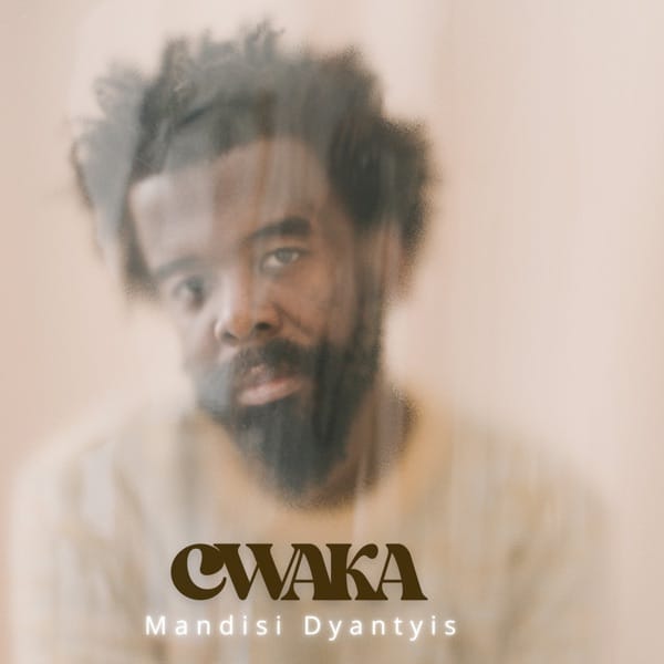 Mandisi Dyantyis - Cwaka