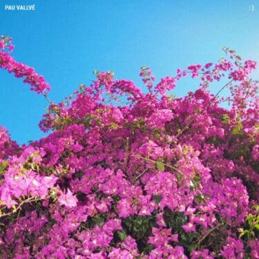 カタルーニャのSSWパウ・バルベー、ブラジル音楽やギターポップを融合した個性的なポップス『: )』