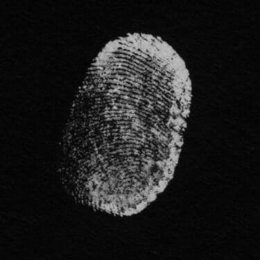 ジャズ・ヴィブラフォンの表現を次のレベルへと導く。パトリシア・ブレナンの芸術的新譜