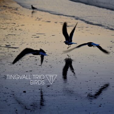 現代欧州ジャズの王者Tingvall Trio、「鳥」と彼らの環境をテーマにした最新作『Birds』