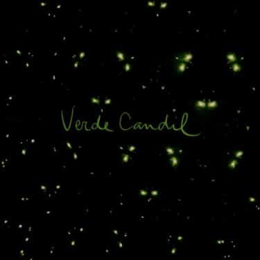 アルゼンチンの極上カルテット、Flores de la Noche 新作『Verde Candil』