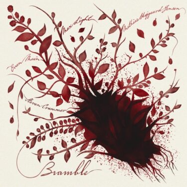 NY・ブルックリンの新進気鋭ギタリスト、マックス・ライト新譜『Bramble』