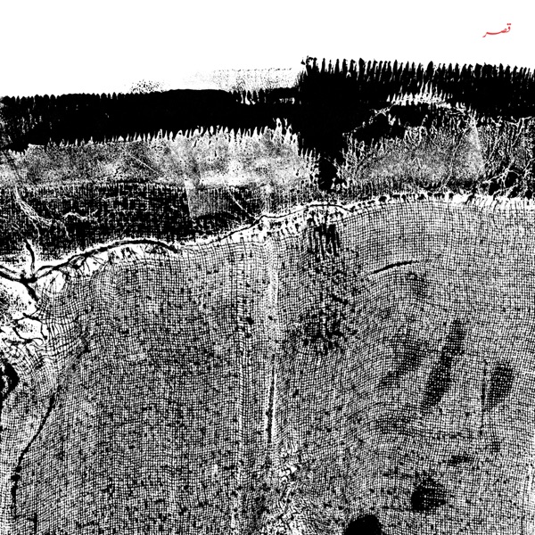 イスラム系歌謡 + インド古典 4枚 まとめて 2222円 V.A. – Music Of Afghanistan = アフガニスタン民族音楽大系