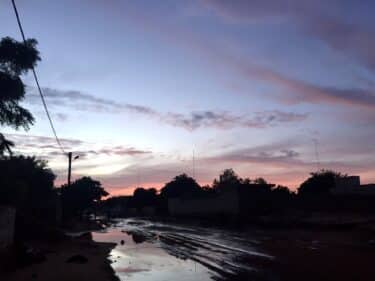 世界の子守唄を集めたアルバム「The World Sings Goodnight」