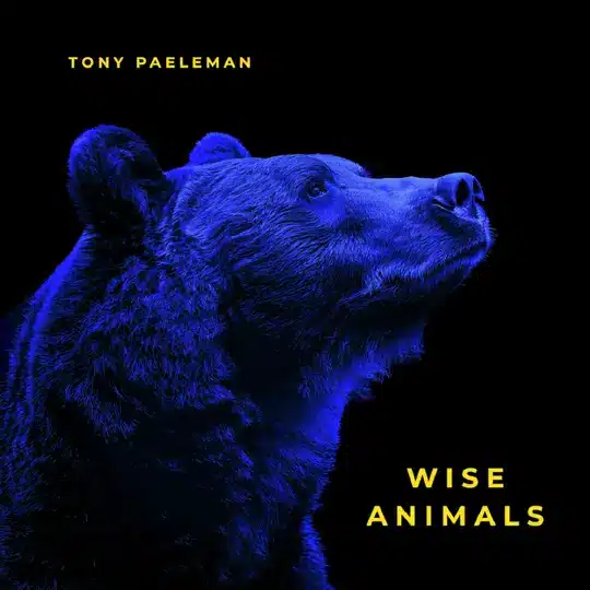 Tony Paeleman - Wise Animals