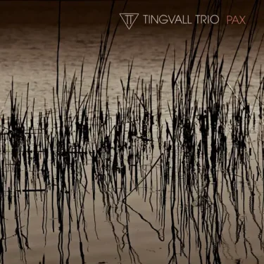 欧州ピアノトリオのトップランナー、Tingvall Trio。ラテン語で『平和』と冠した感動的な新作