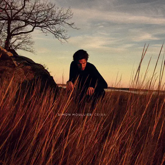 Simon Moullier - Ceiba